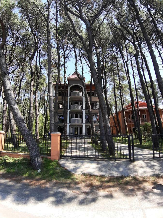 Hotel Niko Shekvetili Dış mekan fotoğraf